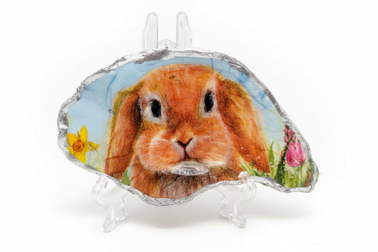 Decorative Bunny Shell