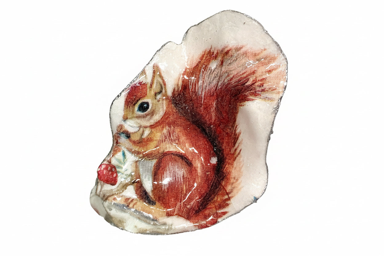 Decorative Squirrel Shell