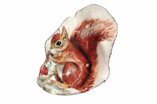 Decorative Squirrel Shell